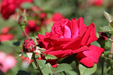 Similar image 6564494