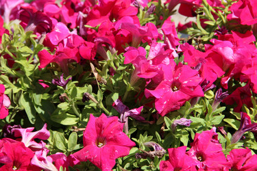 Similar image 6564495