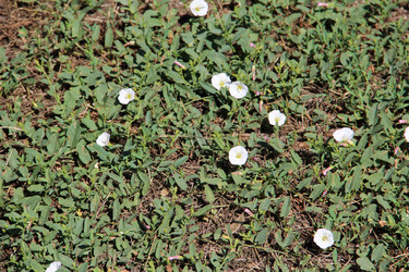 Similar image 6564496