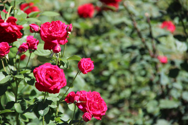 Similar image 6564497