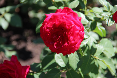 Similar image 6564498