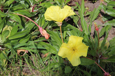 Similar image 6564499