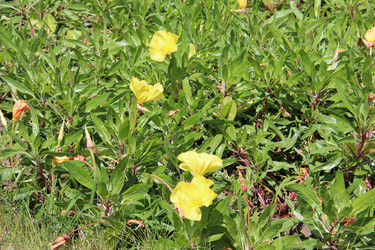 Similar image 6564500