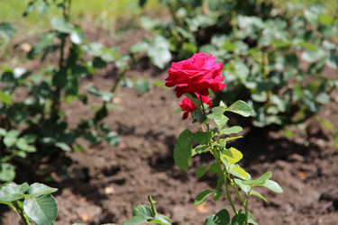 Similar image 6564501