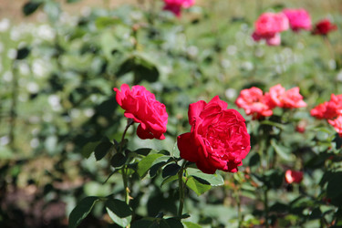 Similar image 6564502