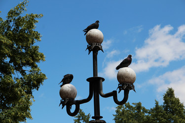 Similar image 6564503