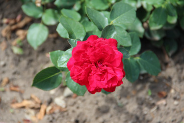 Similar image 6564504