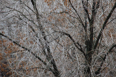 Similar image 6564506