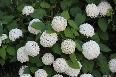 Similar image 6564507