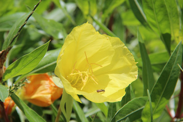 Similar image 6564508