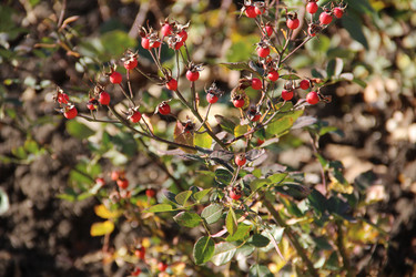 Similar image 6564509