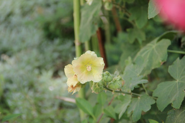 Similar image 6564510