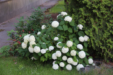 Similar image 6564511