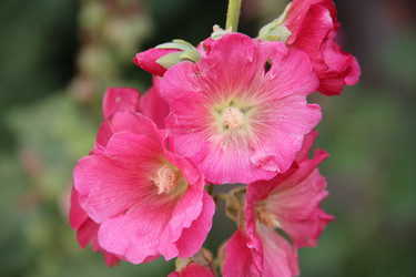 Similar image 6564513