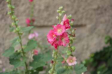 Similar image 6564516