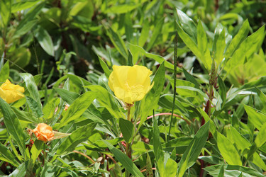 Similar image 6564517