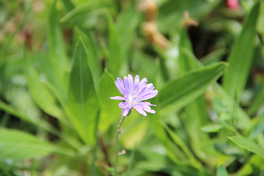 Similar image 6564518