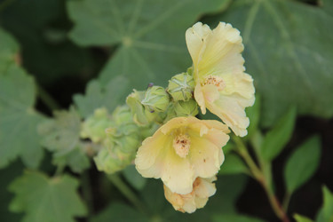 Similar image 6564519