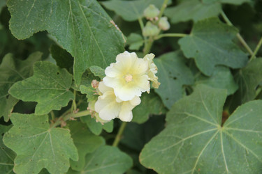 Similar image 6564520