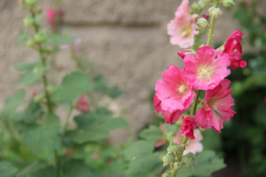 Similar image 6564521