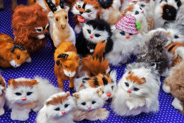 Similar image 6564523