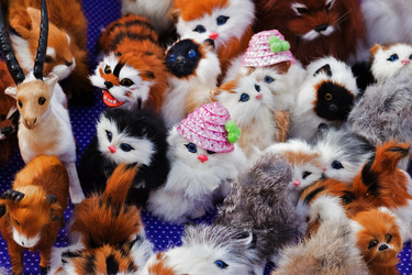 Similar image 6564524