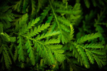 Similar image 6564553