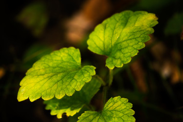 Similar image 6564555