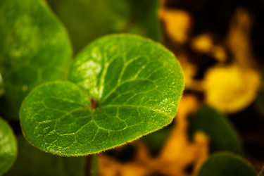 Similar image 6564557