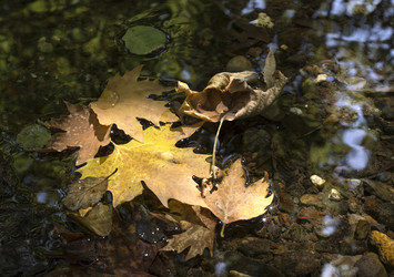 Similar image 6564559