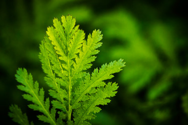 Similar image 6564560