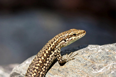 Similar image 6564562