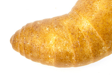 Similar image 6564612