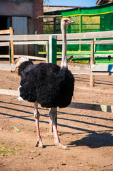 Similar image 6564618