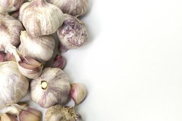 Similar image 6564652