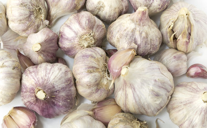 Similar image 6564653