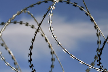 Similar image 6564656