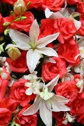 Similar image 6564662