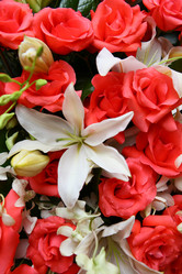 Similar image 6564663