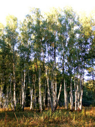 Similar image 6564671