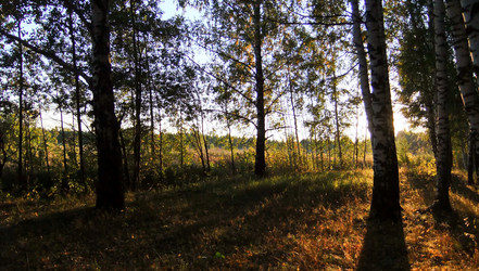 Similar image 6564672