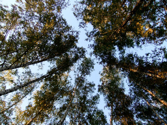 Similar image 6564675