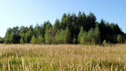 Similar image 6564676