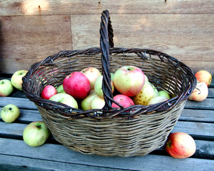 Similar image 6564681