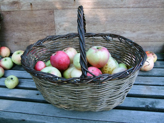 Similar image 6564682