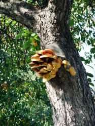 Similar image 6564683