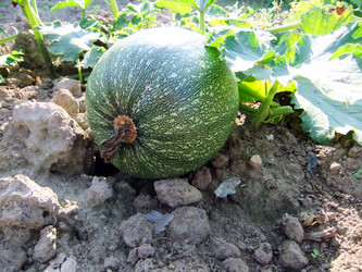 Similar image 6564684