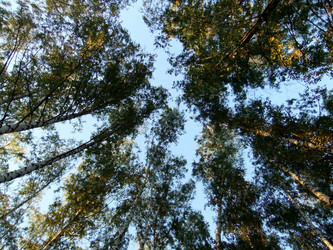 Similar image 6564685