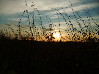 Similar image 6564686