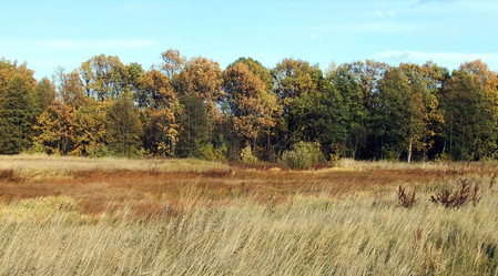 Similar image 6564689